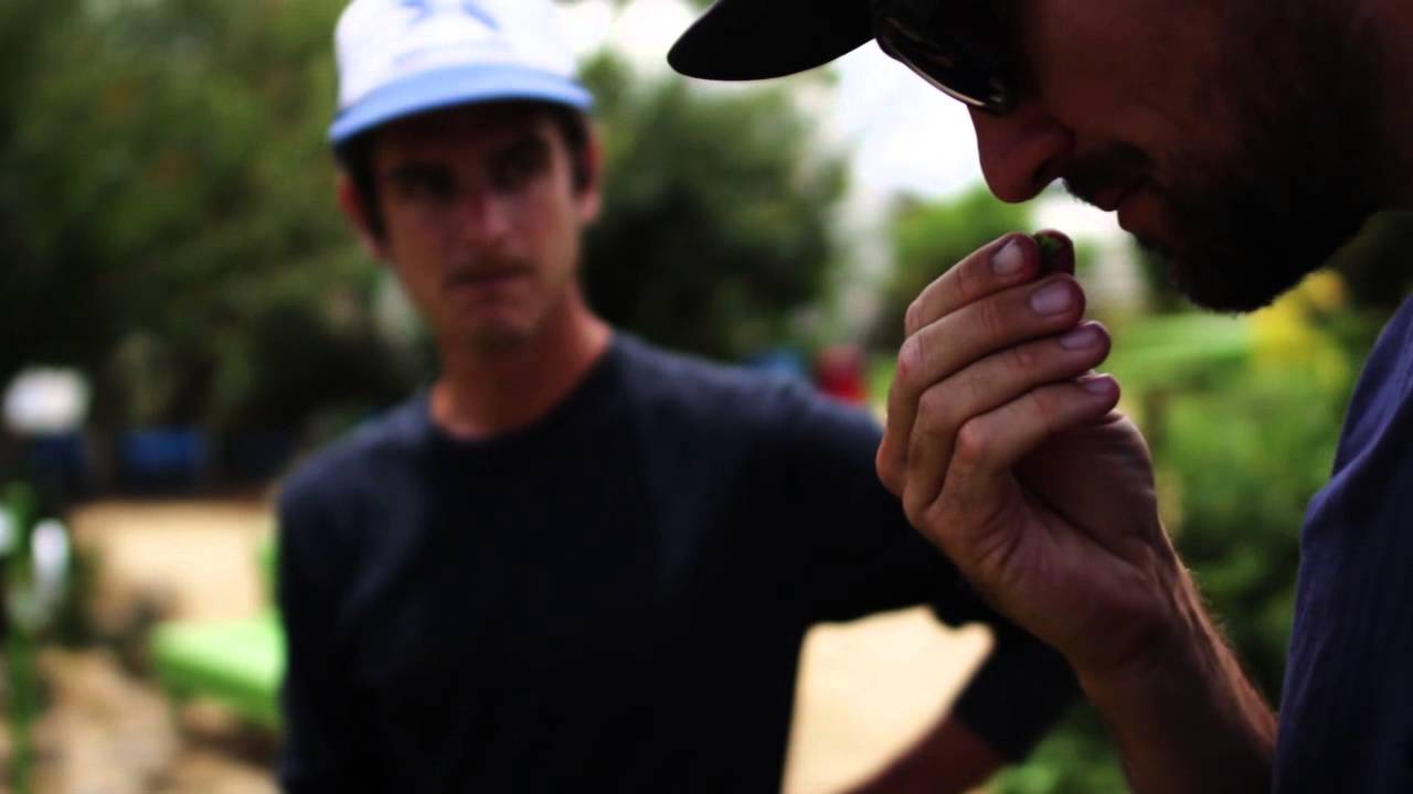 HURLEY H2O & THE ECOLOGY CENTER: BARREL TO BREW