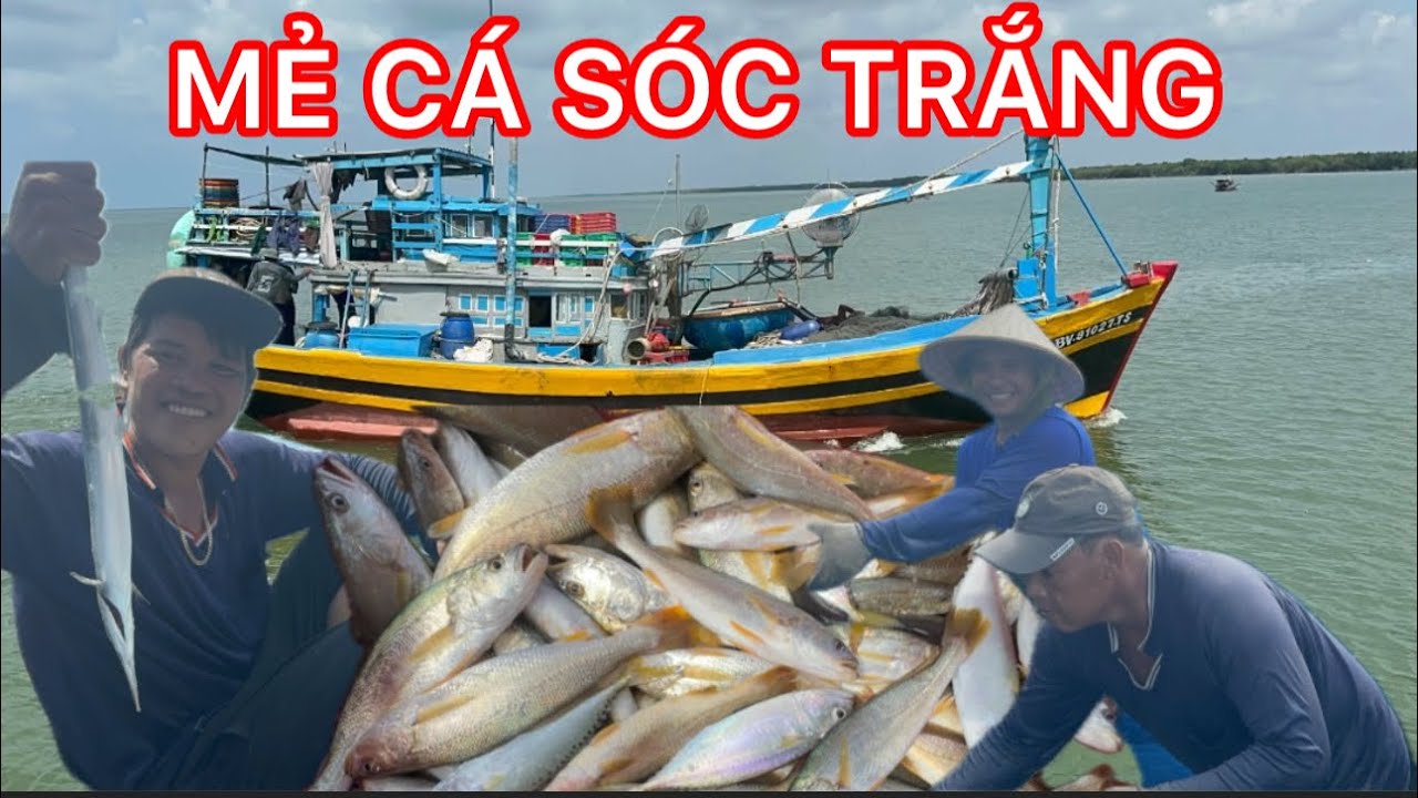 NGHỀ LƯỚI NẬU TRÚNG MẺ CÁ SÓC TRẮNG ĐẦU MÙA TẠI BIỂN KHÁNH HỘI