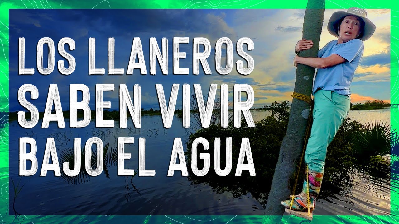 ¿Por qué los LLANEROS son tan RECIOS? 🧑🏻‍🌾 GUÁRICO y APURE 🐮 Valen de Viaje