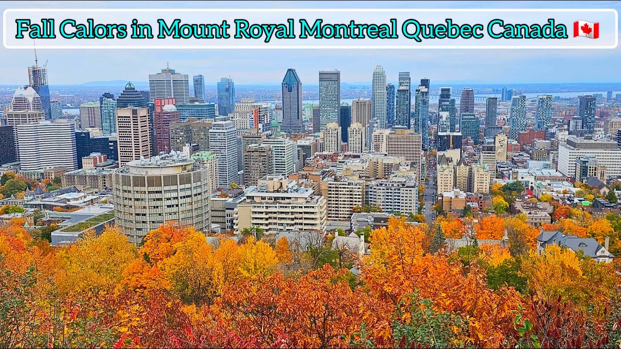 Fall Colors in Montreal Quebec Canada #montreal #quebec #canada