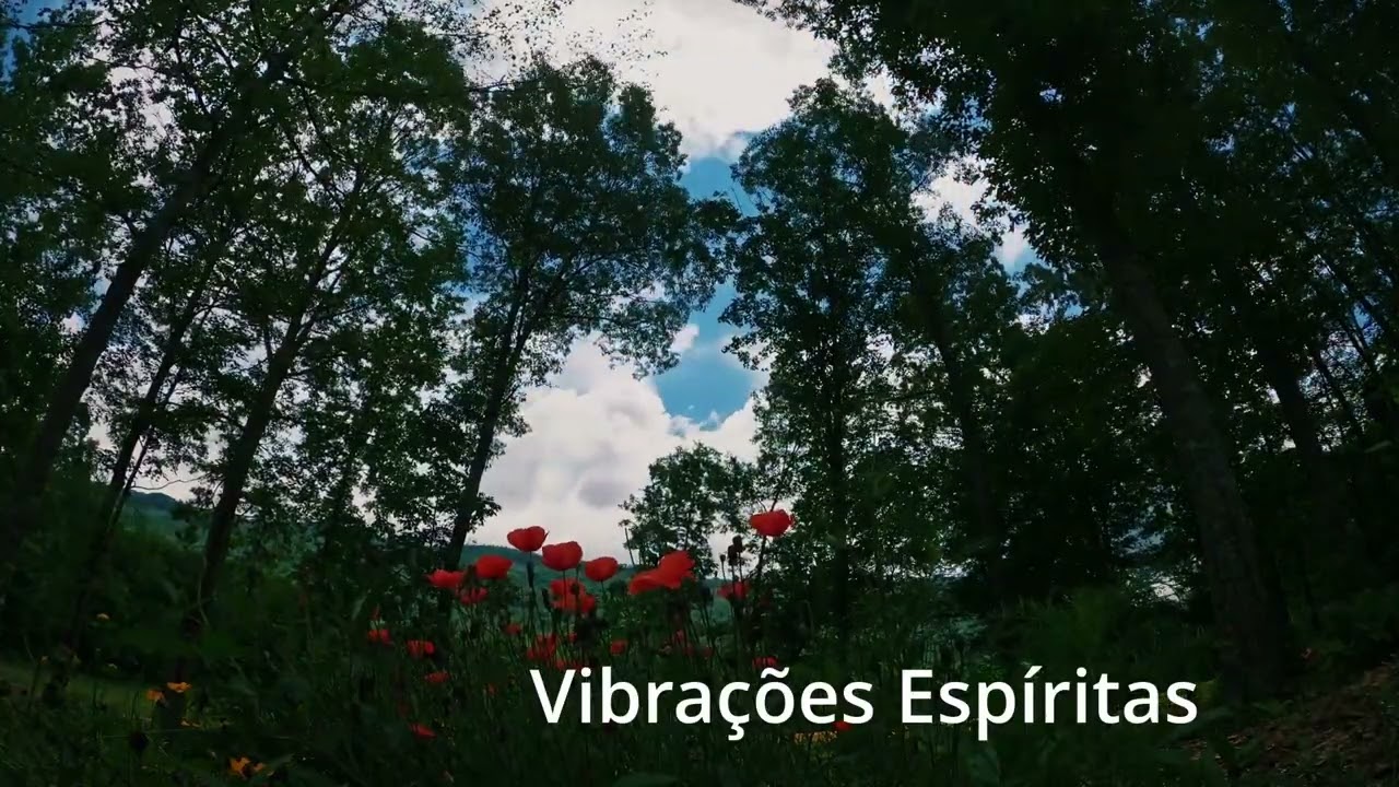 Vibrações Espíritas - Vibração 22h