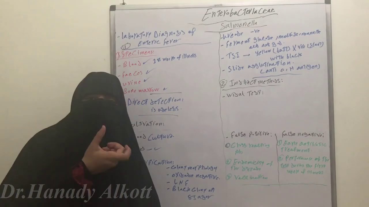 😱☠️Widal test (Salmonella laboratory diagnosis)☠️💪🤨