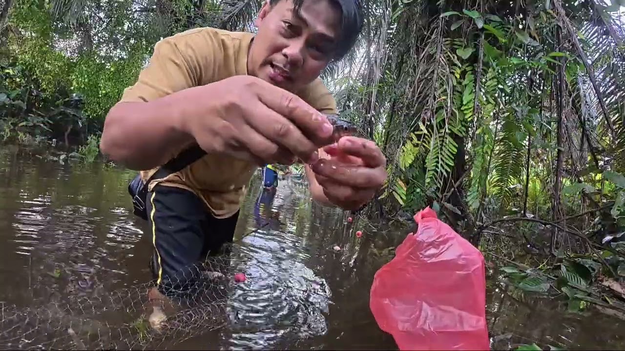 Awal pagi mengecik pukat, rezeki yang banyak hanya satu pukat gaiss. 