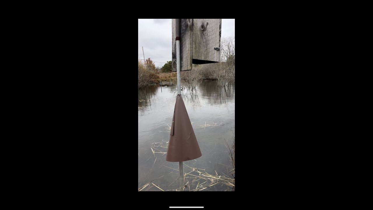 How to make a predator guard