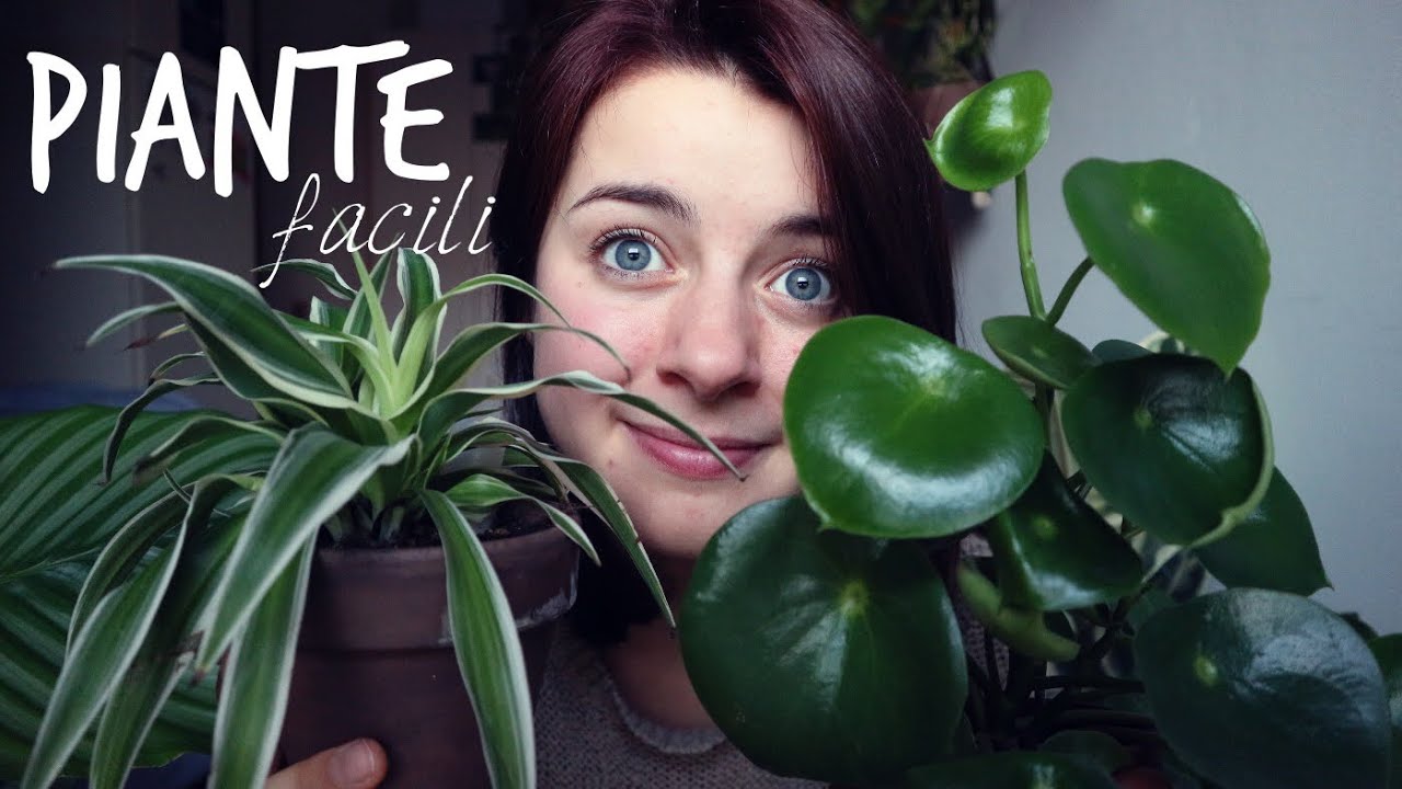 6 PIANTE da Appartamento FACILI