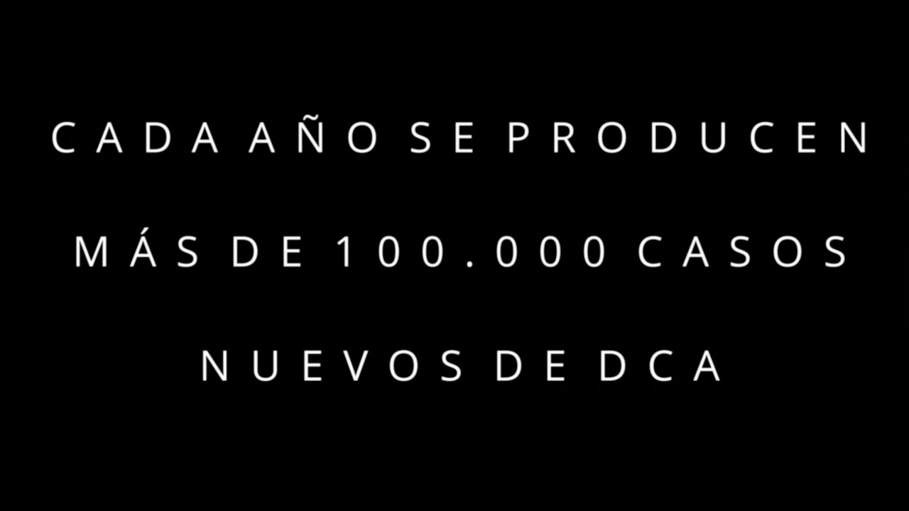 Que es la Fundación