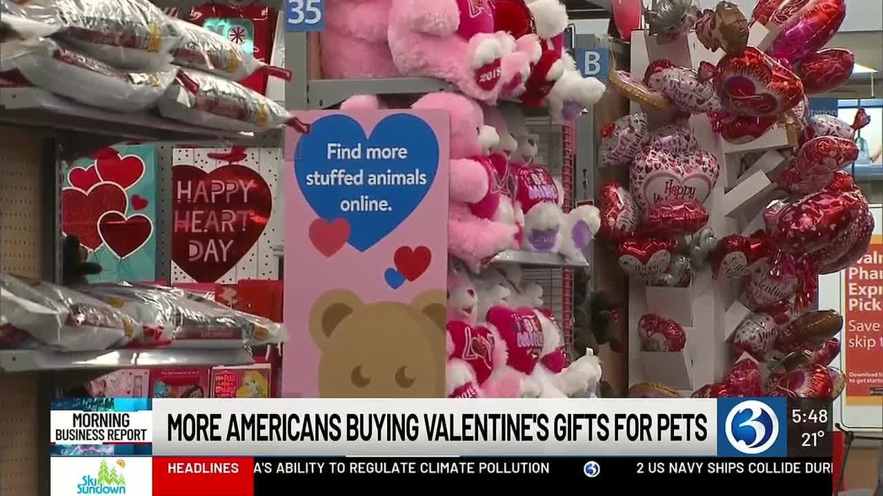 MORNING BUSINESS REPORT: Americans splurge on Valentine's gifts for pets