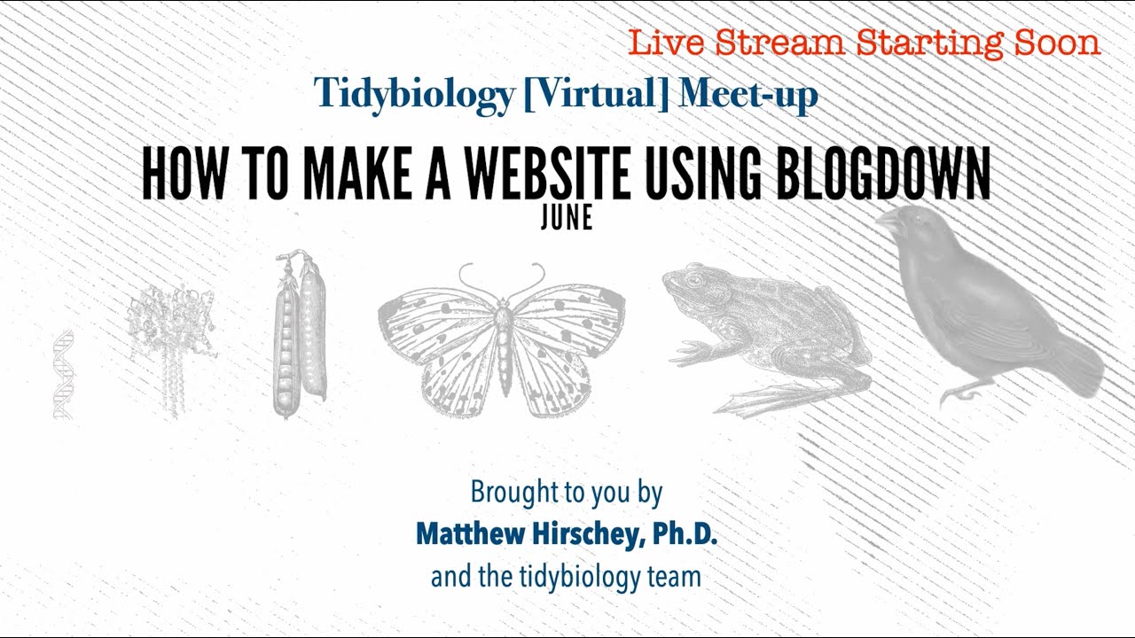 How to make a personal website using R and blogdown | Tidybiology June meetup