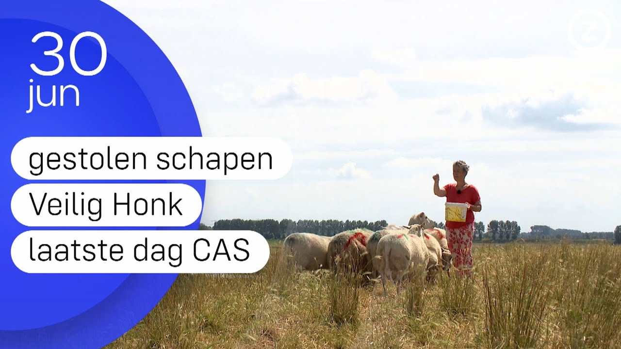 Zeeland Nu, zondag 30 juni 2024