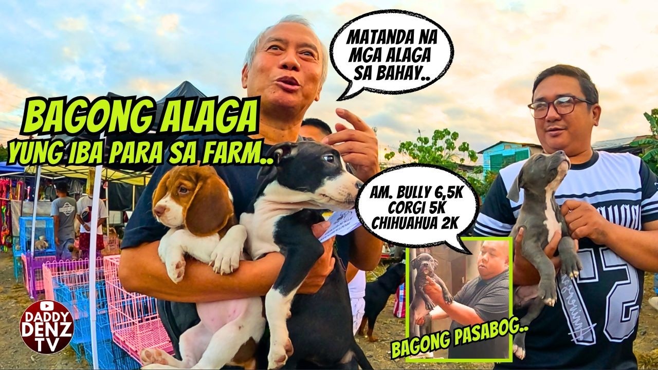 MGA BAGONG PASABOG SOBRANG MURA.. /  MAR. 13 @BOCAUE PETS & LIVESTOCK MARKET