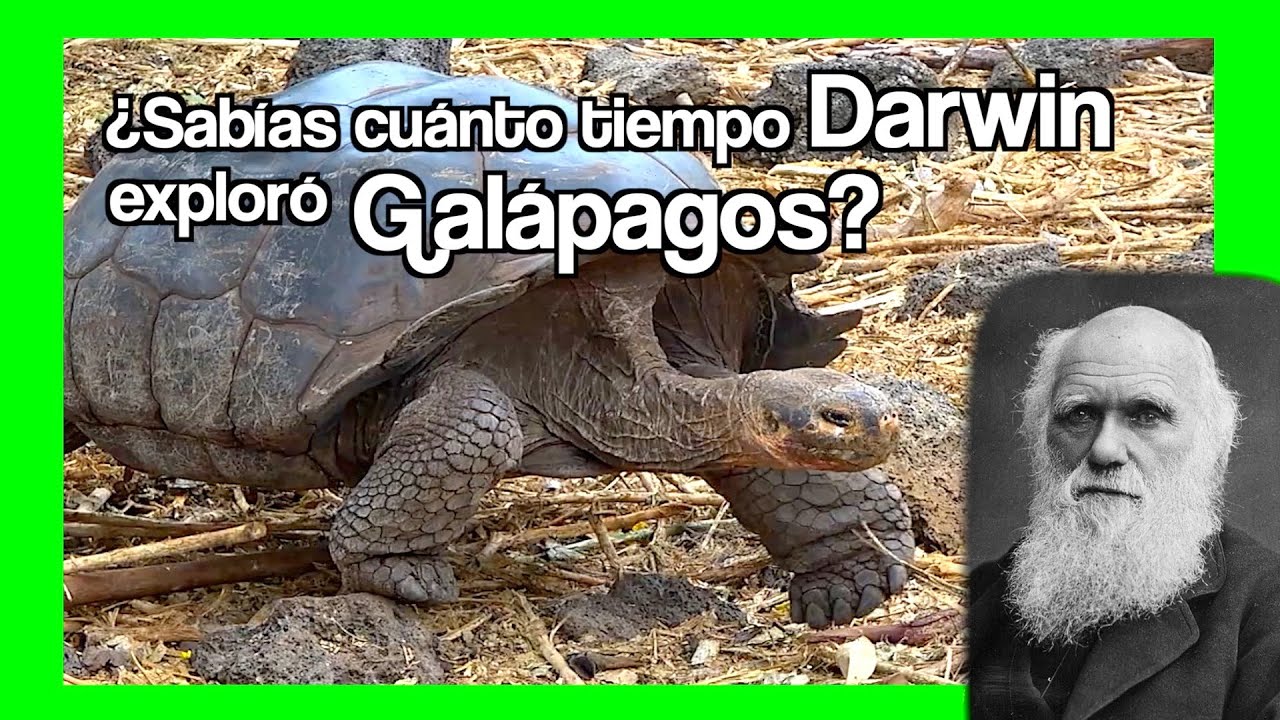 ¿Sabías cuánto tiempo Darwin exploró Galápagos? Te sorprenderá