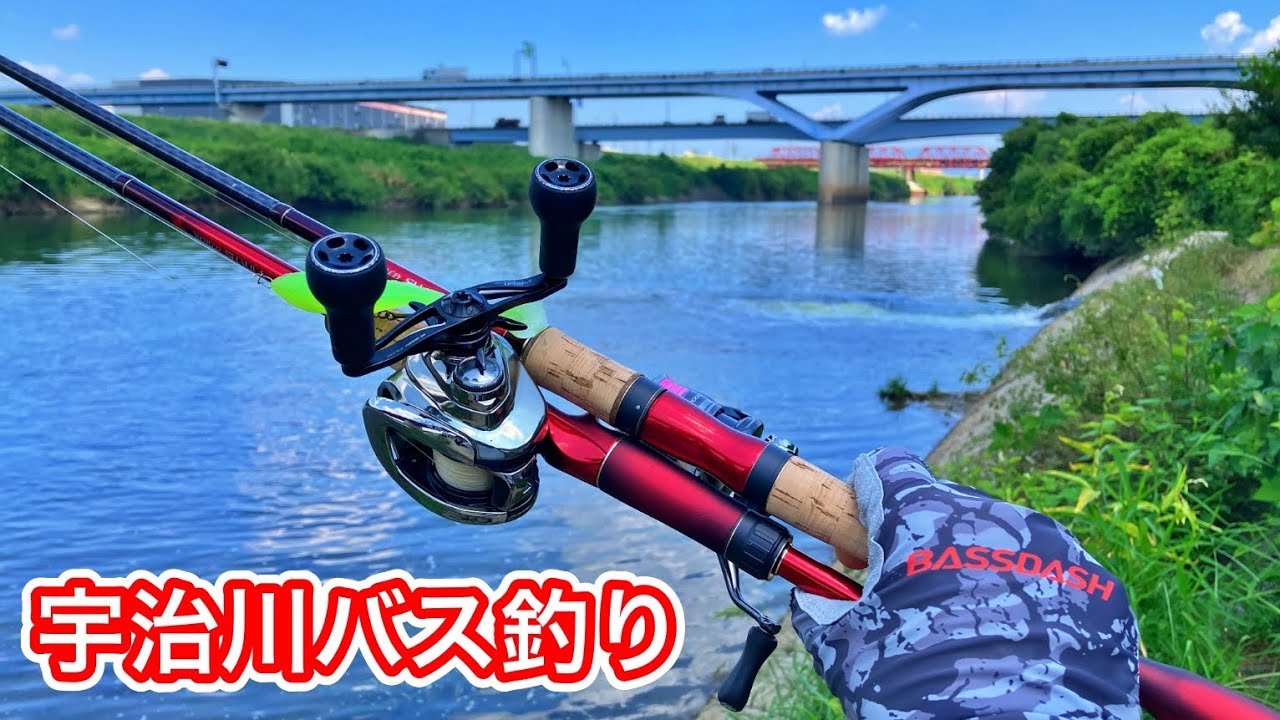 【初の宇治川バス釣り】2日かけて川のデカバスを狙って探し回ってみました