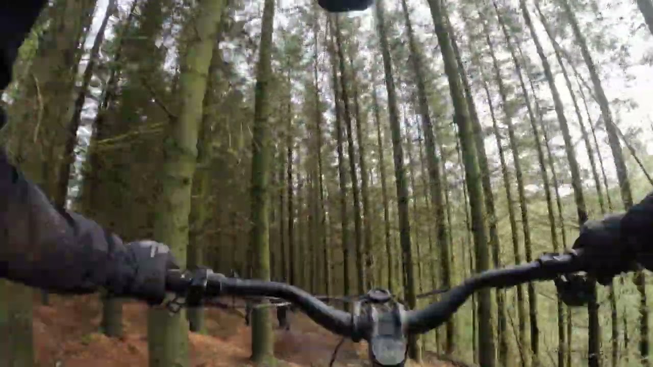 Poor Quality Degla Footage