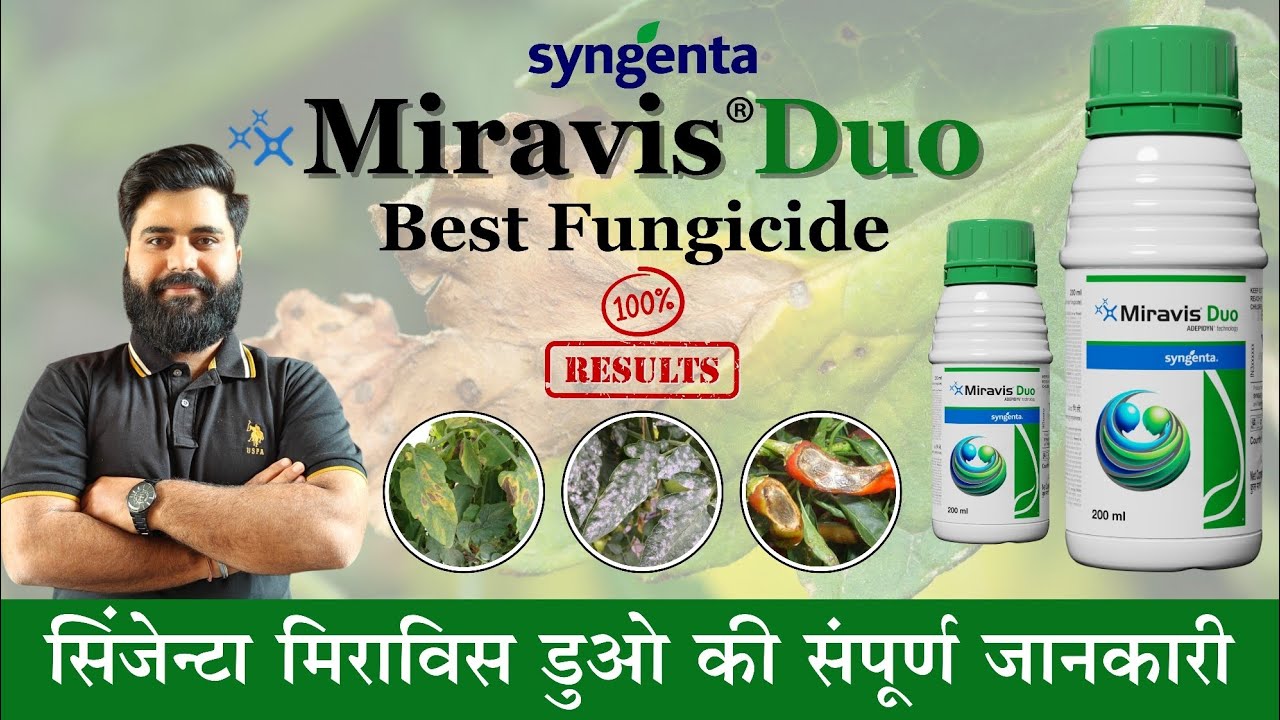 Syngenta Miravis Duo | Miravis Duo Fungicide | Miravis Duo Fungicide for Chilli, Tomato and Grapes
