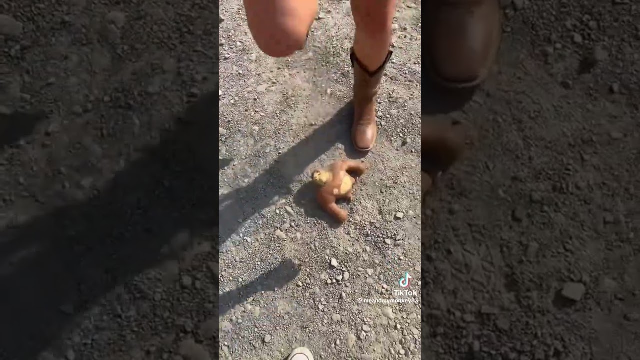 girl Boots stomp monkey toy