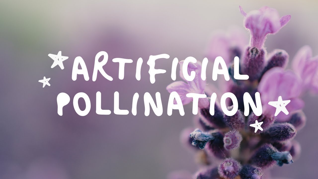 Artificial Pollination Model