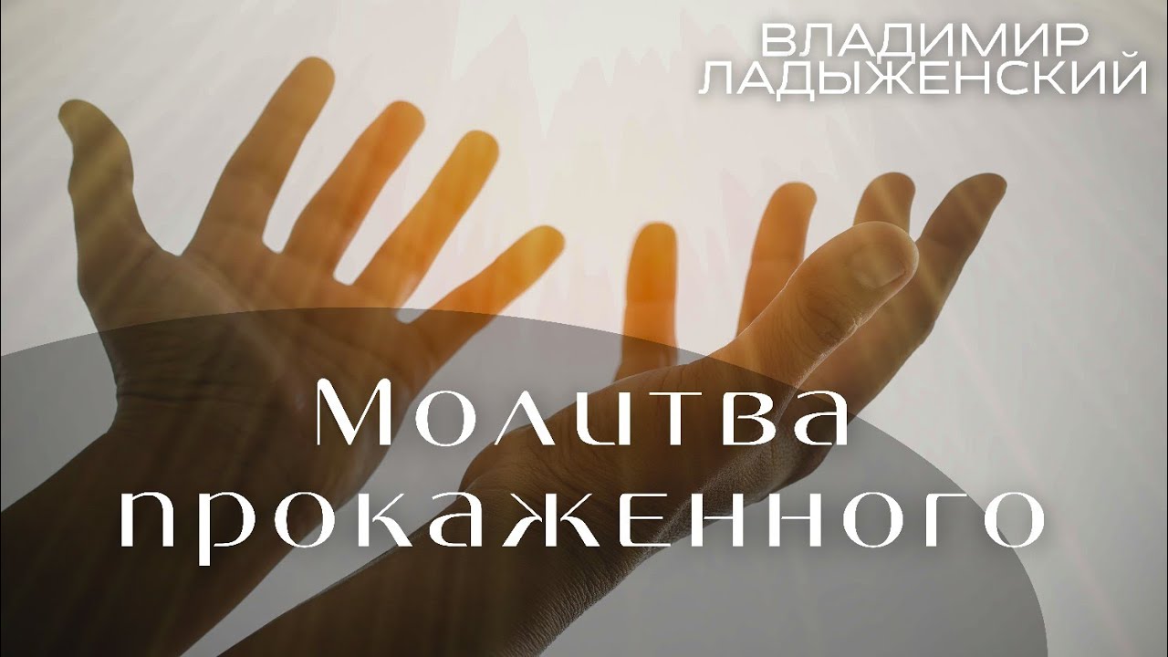 Владимир Ладыженский  