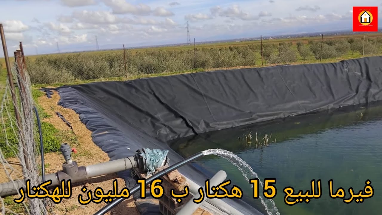 فيرما للبيع فيها 15 هكتار ب 16 مليون للهكتار دخل تعرف تفاصيل 