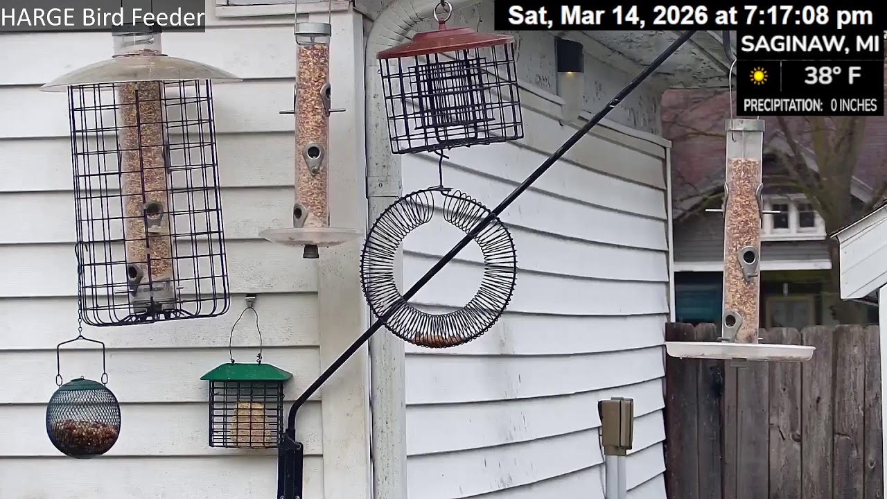 HARGE Bird Feeder