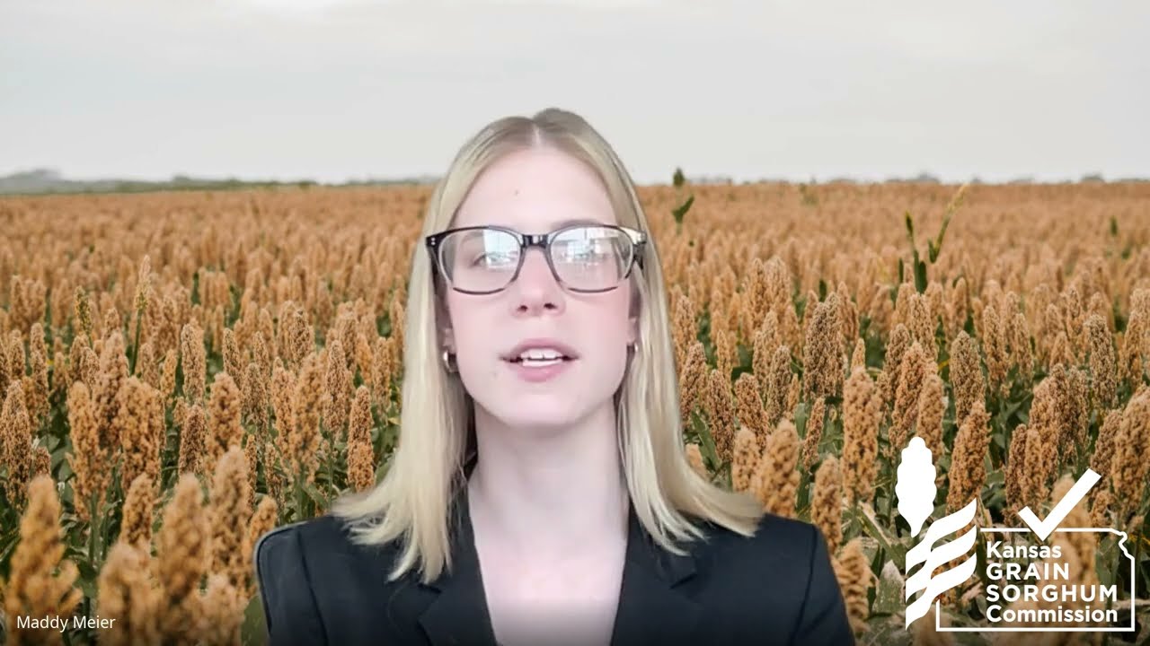Sorghum Update | January 7, 2026