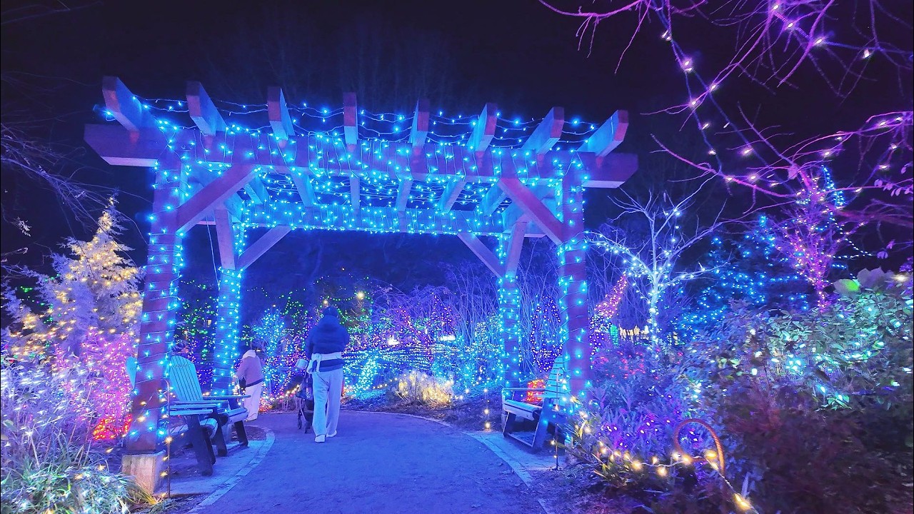 Lafarge Lake Holiday Lights 2025 | Opening Night Walking Tour