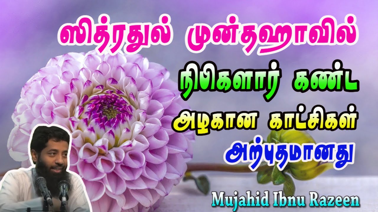 நபிகளாரின் மிஃராஜ் பயணம் ஏழாவது வானத்திலிருந்து ஸித்ரதுல்முன்தஹா  என்ற இடத்துக்கு அழைத்து சென்ற போது