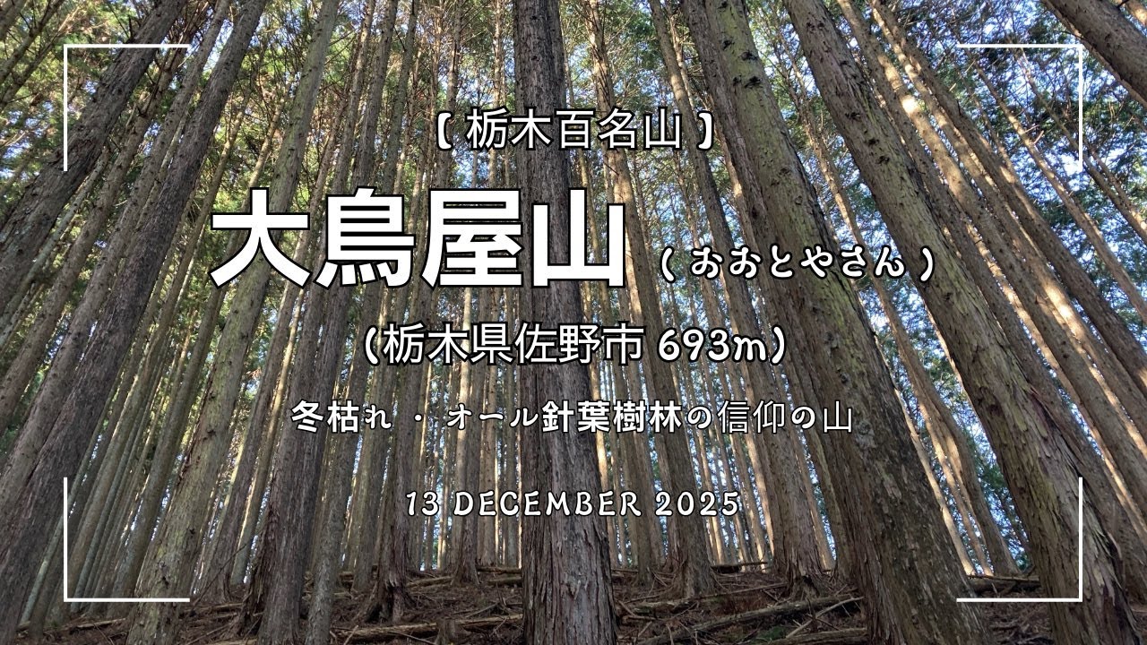 【栃木百名山】大鳥屋山（おおとやさん） / 冬枯れ・オール針葉樹林の信仰の山（13 DECEMBER 2025）