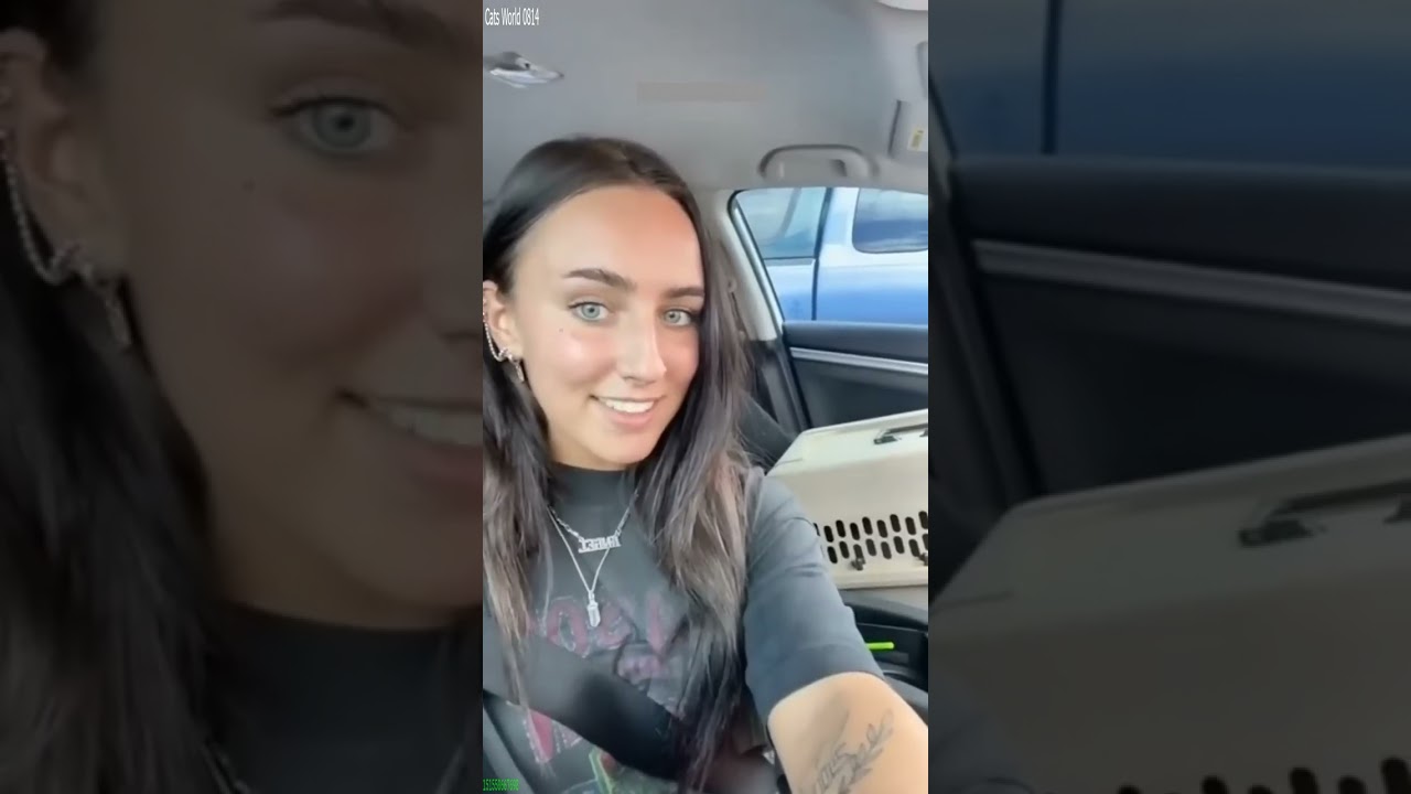 Funny Cats 2025 ❤️ #animals 🐕 # Episode 5342