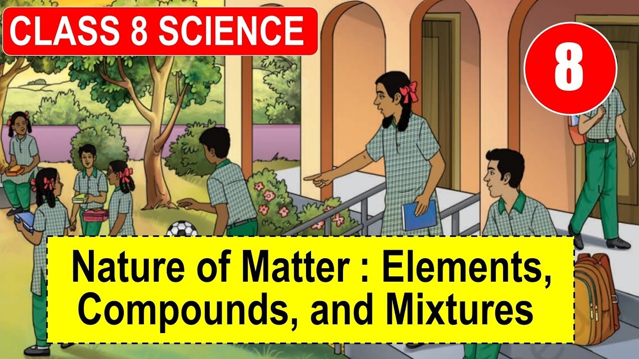 nature of matter elements compounds and mixtures class 8 | New ncert curiosity chapter 8 Notes