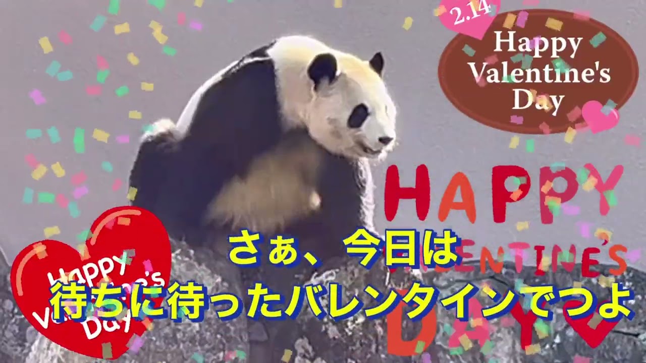 バレンタインに愛を叫ぶ❤️ みんなの願いが届きますように💕💕