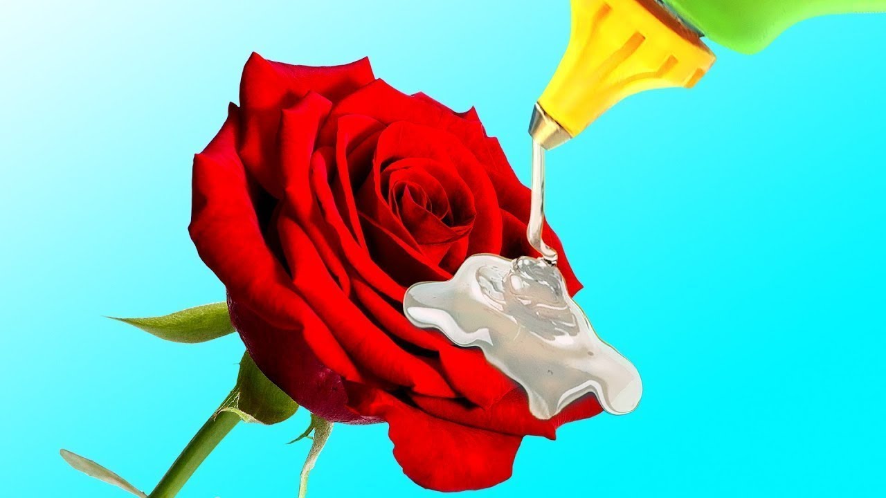 20 حيلة رائعة للأزهار وزهور تصنعها بنفسك.