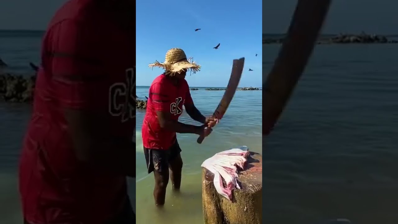 Fish 🐠 cutting #fishcutting #valvaisulax #fish #fishing #jaffna #Fish 🐠 cutting #fishcutting