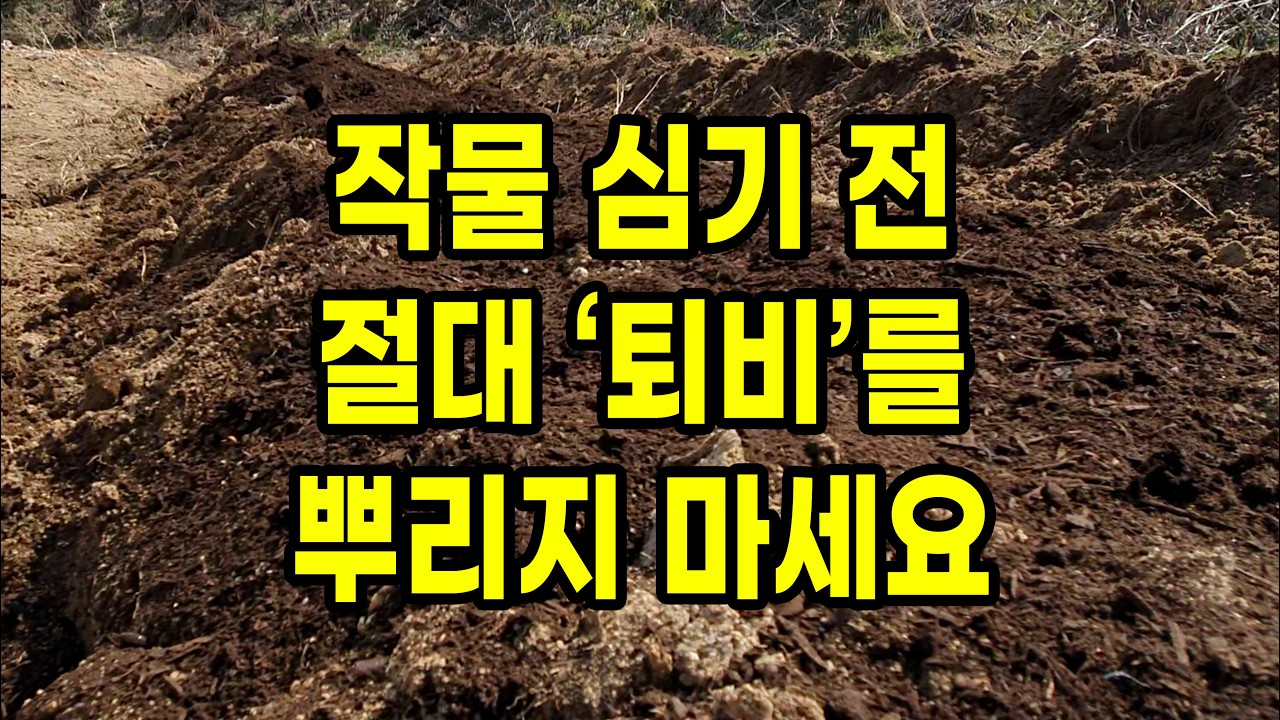 작물 심기 전 절대 '퇴비'를 뿌리지 마세요