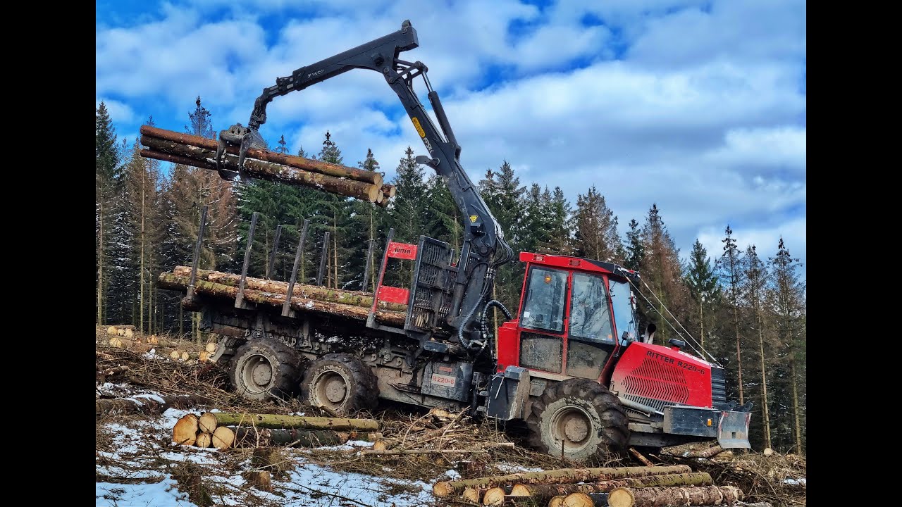 🌲 *The knight in forest* • Ritter R220-6 • Rückezug • Forwarder • Kampf dem Käfer • Part-2 🌲