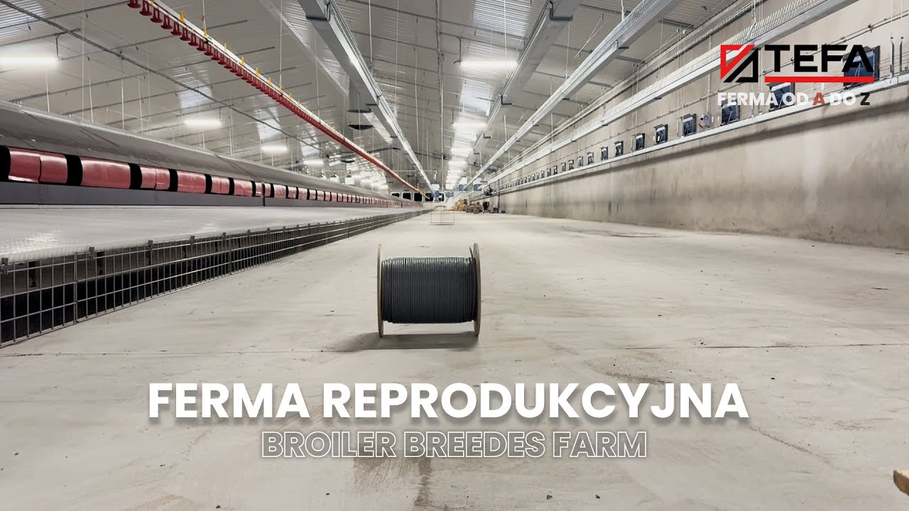 FERMA REPRODUKCYJNA &ndash; Podsumowanie Realizacji | TEFA