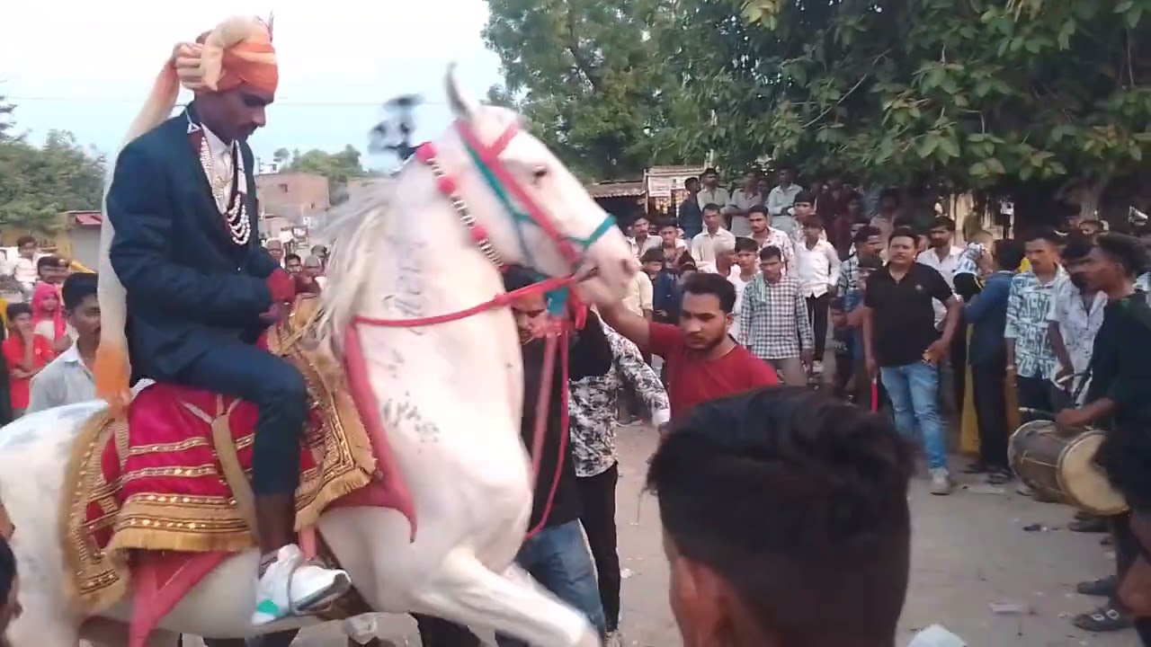 કિંગ ઓફ તોરલ ઘોડી રાનેર માં બૂમ પડાવી ભાઈ ના લગ્ન ની મોજ