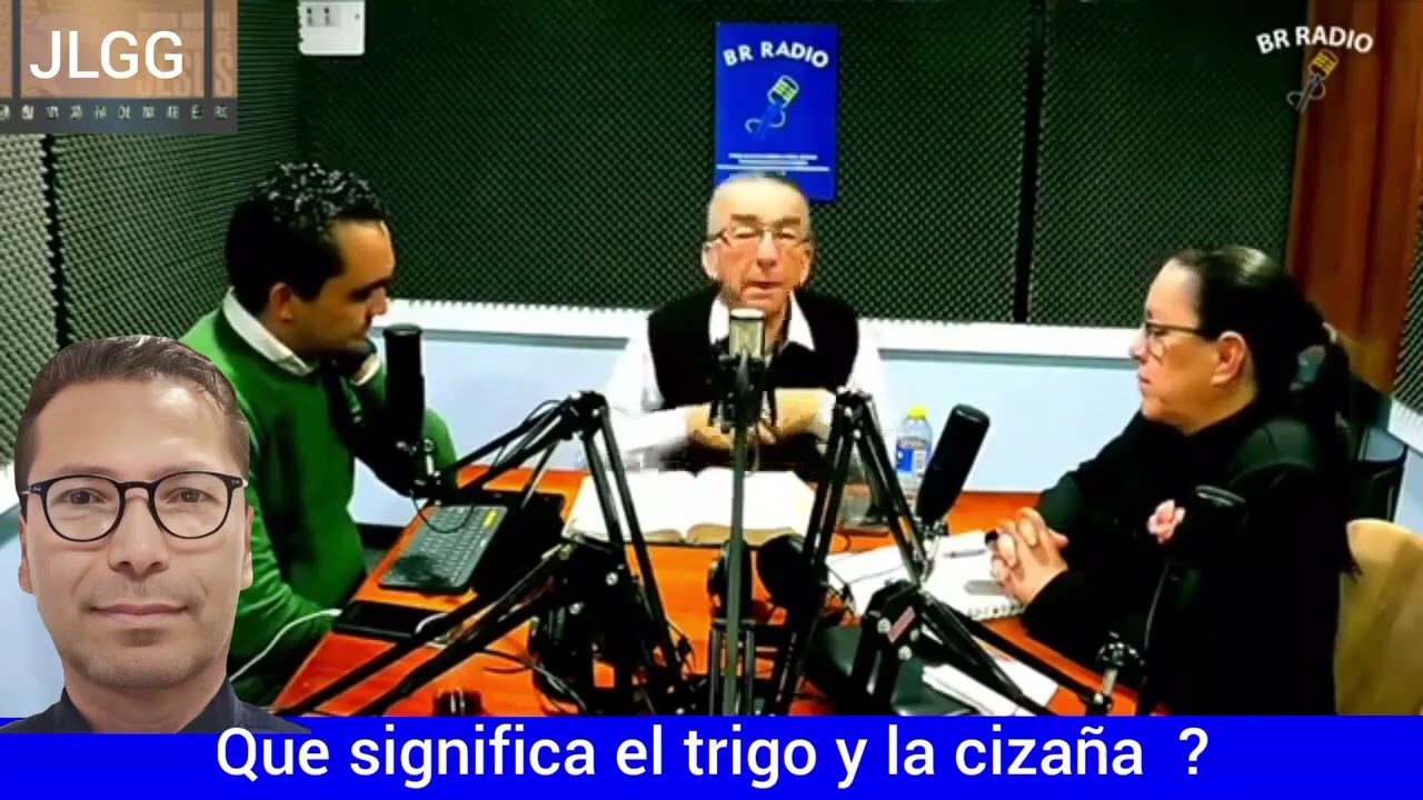 Que significa el trigo y la cizaña ?