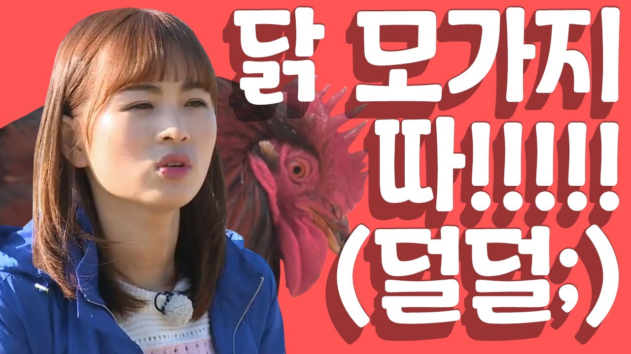 [세이하이 탈북미녀] 거친女子 북한미녀들! 닭을 거꾸로 매달아 목을..? (꼬끼오! ㅠ) | 통일준비 생활백서, 잘 살아보세