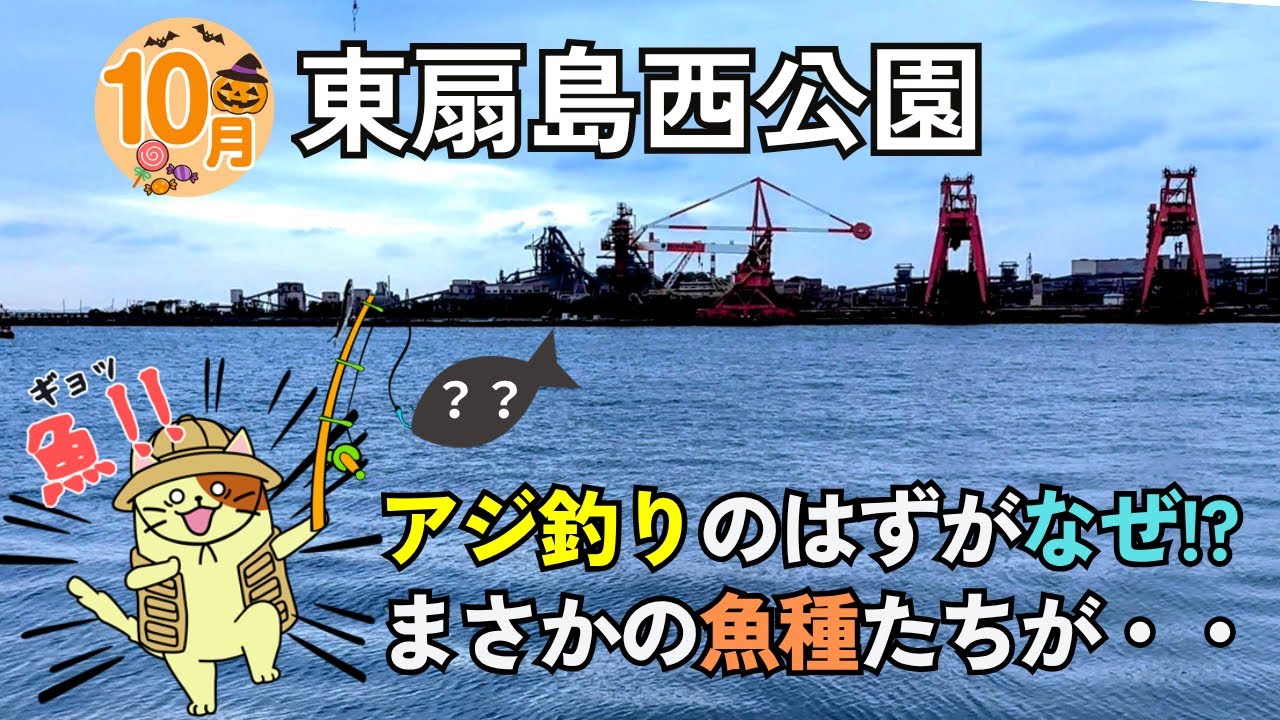 【10月の東扇島西公園】アジ釣りのはずがなぜ！？ 五目釣りでまさかの魚種たちが・・