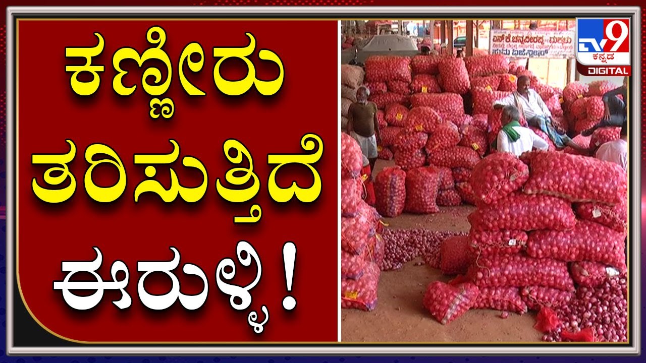 Sudden Fall In Onion Price At Apmc In Davangere Shocked Many Farmers As They Suffered Huge Loss