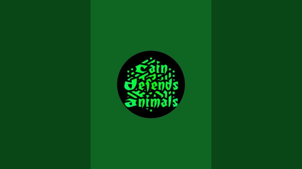 Two Slaughterhouses, One Vegan