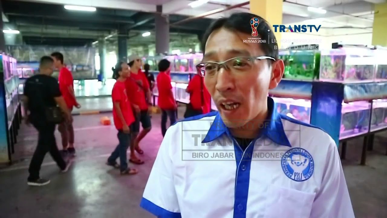 INDONESIA LOUHAN COMPETITION #2 (Liputan Transmedia Jabar )
