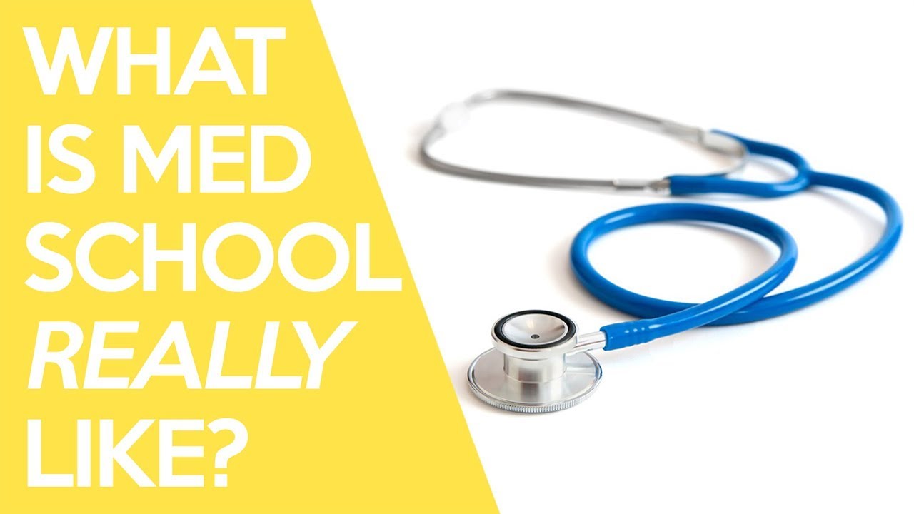 What is Medical School Really Like? Sarah Clifford Illustration