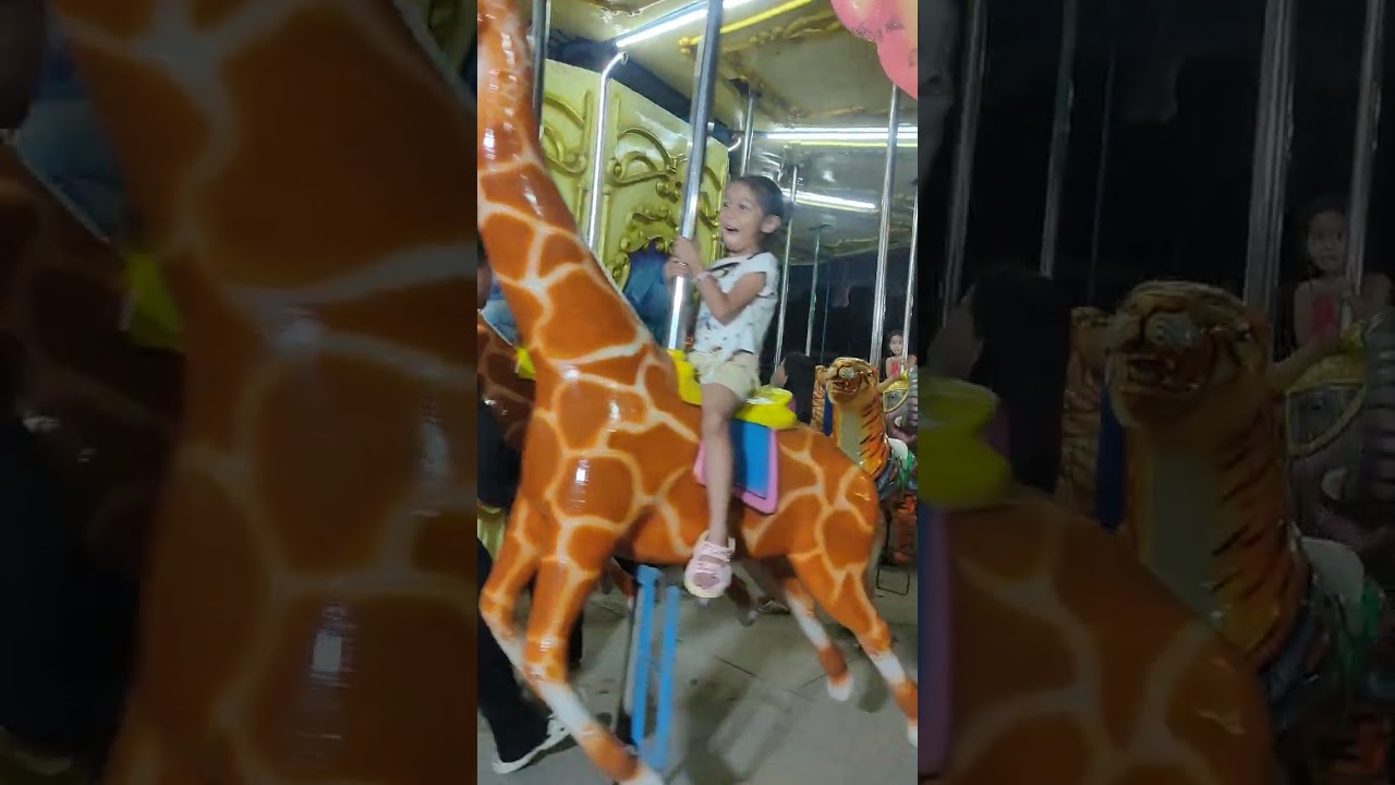 IBT CAROUSEL