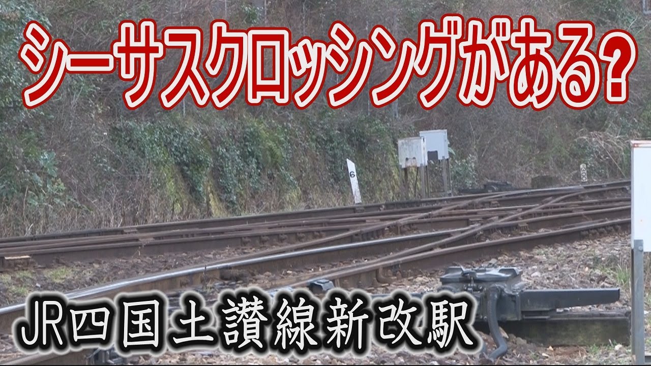 【駅に行って来た】土讃線新改駅は単線なのにシーサスクロッシングがあるワケ