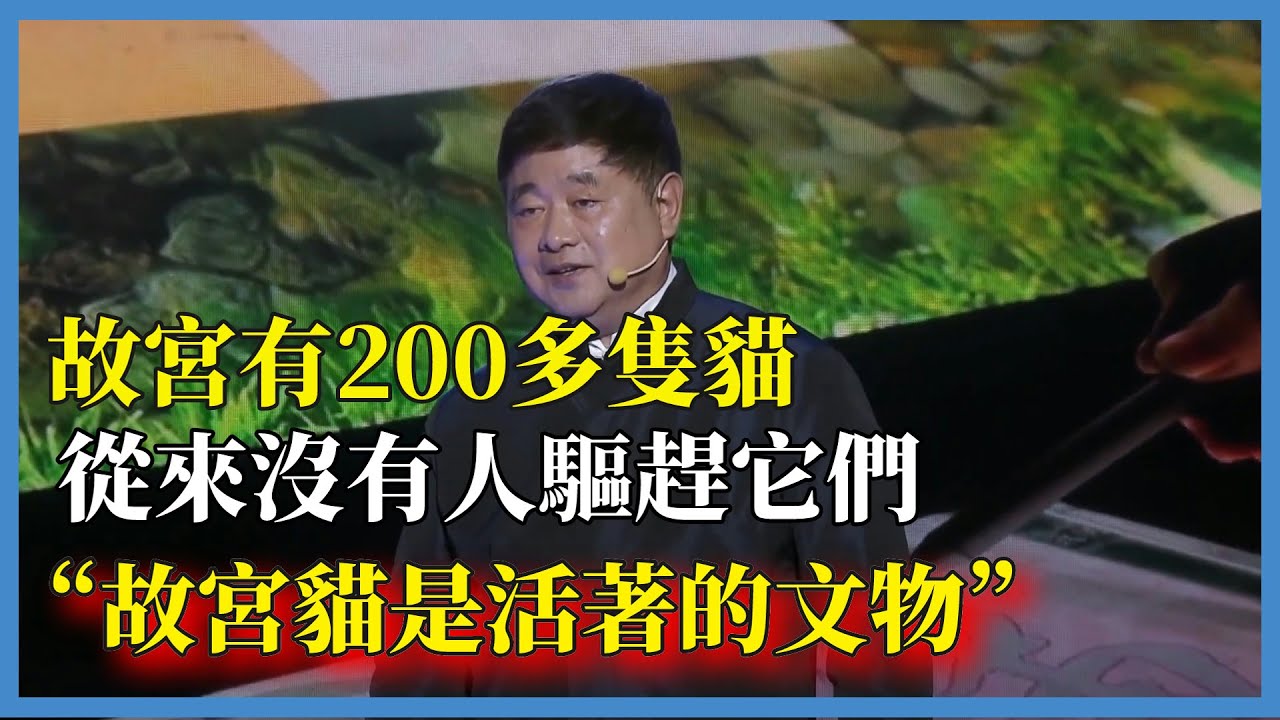 故宮有200多隻貓，從來沒有人驅趕它們，“故宮看門人”單霽翔說：“故宮貓是活著的文物”
