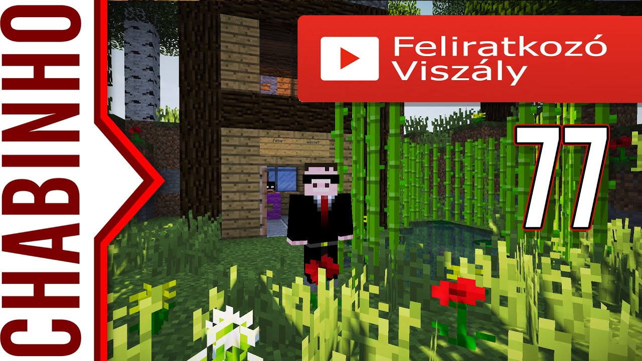AVM 77 - Feliratkozó Viszály