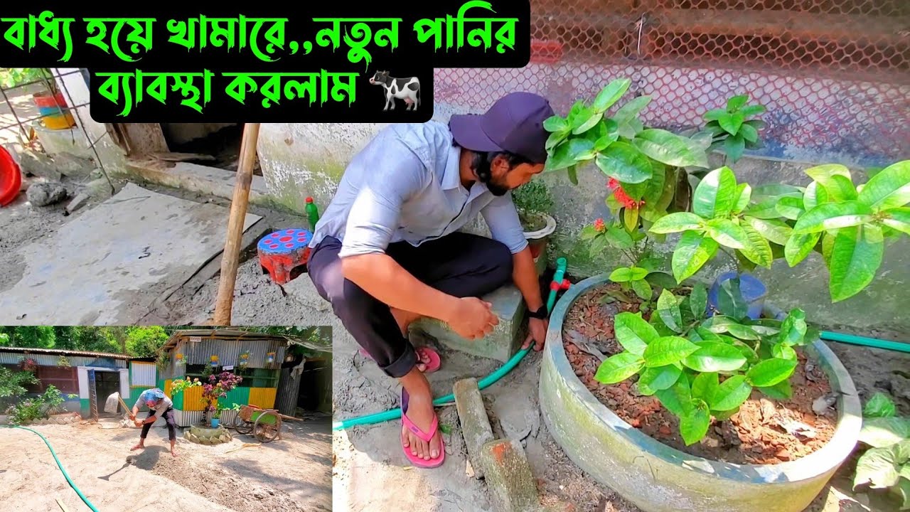 বাধ্য হয়ে খামারে,,নতুন পানির ব্যাবস্থা করলাম 🐄