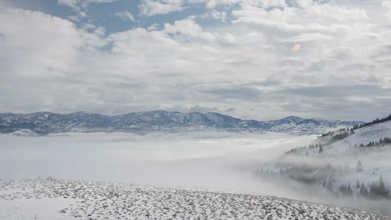 Peaceful fog timelapse