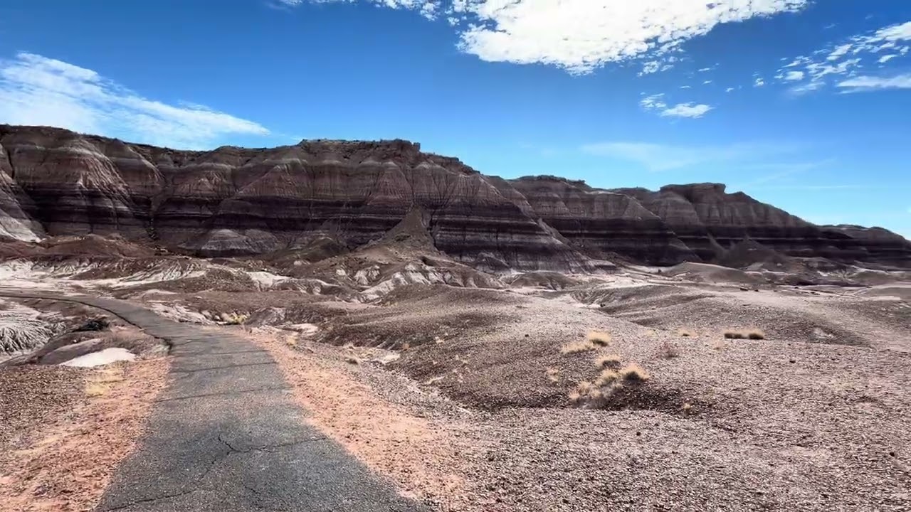 Petrified Forest National Park - Blue Mesa Trail